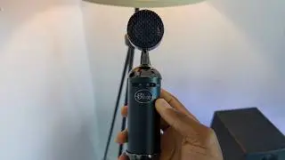 Blue SL XLR Mic Review