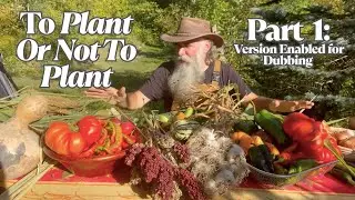 Сажать или не сажать, часть 1. Дубляж включён! Что выращивать, что не выращивать и как делать по-...