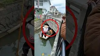 Tourist attraction 😳 #viralvideo