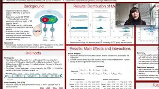 DRD2 polymorphism and sensitivity to losses during value-based decision-making