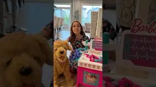 Treat animals with care