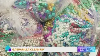 Gasparilla Clean Up
