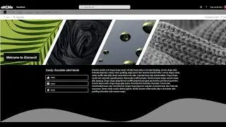 How to create and use shape dividers in SharePoint Online