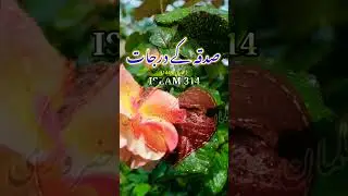 #shorts SADQA KE DARJE |hadees sharif |hadees shareef #ALLAH #sadqa #islamicstatus #islam314 #hadees