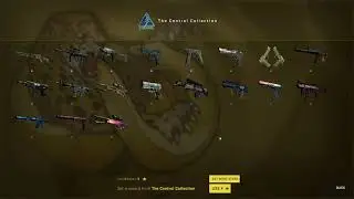 I open a Control Collection in CS:GO
