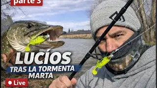 LOS LUCIOS DE ULTIMA HORA SABEN MEJOR 🤪PESCA DE DEPREDADORES ⚡️⚠️