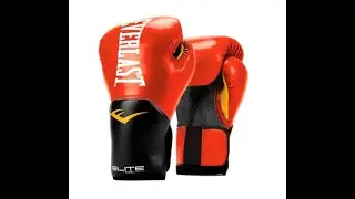 Everlast Gloves 12oz for Heavy bag and Sparring