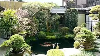 VStube 058 - HIROSHIMA. A private Tsubo-niwa (courtyard garden) on Miyajima island (Apr 02, 2018)