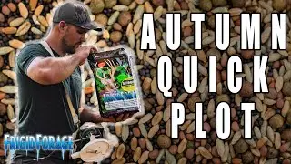 Getting Ready for Autumn Quick Plot Season