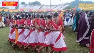 कर्मा गीत। 1. #video | #karma geet | करमा त्यौहार गीत | कौनी रे भईया काटो हई रे… 