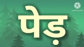 10 Lines Essay On Tree In Hindi || Ped Par Nibandh Hindi Mein || BS Hindi