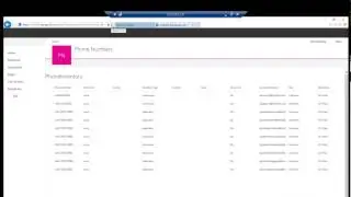Skype for Business DDI Number Management with SharePoint Online