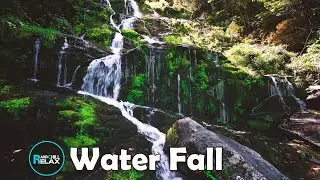 Relaxing Nature Scenes: Take a Virtual Walk Through a Forest Waterfall for Stress Relief