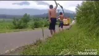 Wawuk