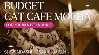 Japan Vlog | Budget Guide: 90 Minutes at Cat Cafe Mocha in Osaka, Japan! ✨🐱