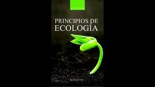 ECOLAGRO 21 CL 510 B2