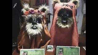 Star Wars ROTJ Handmade Ewok Masks! Wicket & Chief Chirpa Plus Autograph By Warwick Davis!