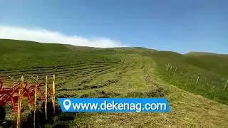 china supply low price hay rake