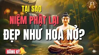 Tại Sao Người Niệm Phật Lại Đẹp Như Hoa Nở Giữa Đời? | Lời Phật Dạy Thấm Thía