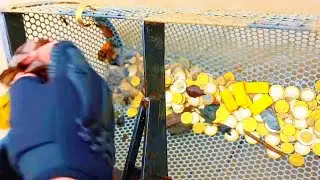 Beach Cleanup Turns Into Epic Treasure Hunt!