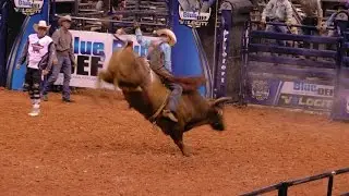 PBR Blue DEF Velocity in Orlando Fl