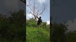 the way to catch it is quite good #nature #awesomethings #funnyanimals #animals #entertaininganimals
