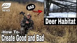 10 Ways To Create Bad Deer Habitat For Small Parcels