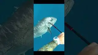 Evolve Fan Club President @tripplesecrets vs #ulua