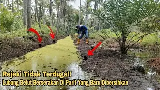 Sensasi Tarikannya Keras Banget Pas Diangkat Belut Monster Segede Gaban
