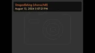 Dragonfishing (chorus/ts8)