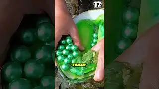 &iquest;Sab&iacute;as c&oacute;mo se forman las perlas dentro de las ostras  #shorts