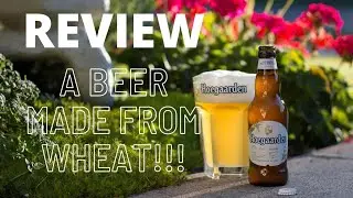 Hoegaarden | Witbier | Witbeer | Wheat Beer