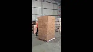 Orbitwrap OR-100MW