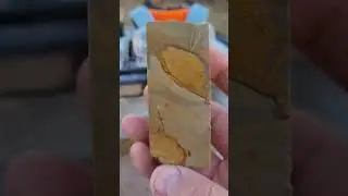 Owyhee Picture Jasper from Idaho (In honor of my late father)