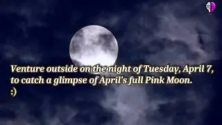 Super Pink Full Moon (The Biggest and brightest Moon of The Year 2020)
