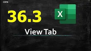 #T26.2 : COPA : MS Excel - View Menu - Theory