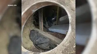 Police release video of 5 feet deep 'encampment cave' found in Alberta