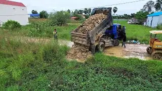 Start New Project Flooded area Landfill! By Bulldozer Komat'Su D21p Push Stone and Truck Unload