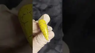 how to apply crack gel polish 👇 tutorial ✨ #nails #1000subscriber #nailtutorial #1million #nails