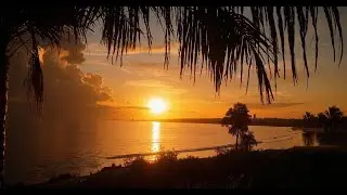 Fall Asleep Under a Tropical Sunset 🌴 | Ocean Waves, Birds, & Crickets for Deep Sleep