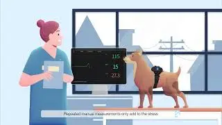 Convenient measurement for long periods of time - ARGOS Vet Monitoring System (ENG)
