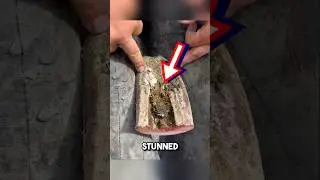 Грязное и заросшее восстановление копыт 😱 #шорты