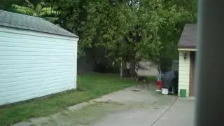 Cabana Boy Mowing Service