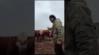Главный Хейтер 😂 а что с ним стало ? А перейди на канал и посмотри 👌😂 #топ #shorts #веселыекоты