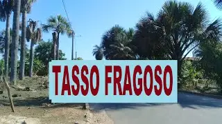 CIDADE DE TASSO FRAGOSO-MA /AGOSTO DE 2020