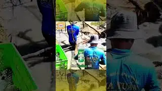PROTEIN C - PLUS ( SI&Ecirc;U VỖ B&Eacute;O T&Ocirc;M C&Aacute; ) #thuysandopa #fishing #dongdopa #dopa