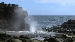 Wilderness Video