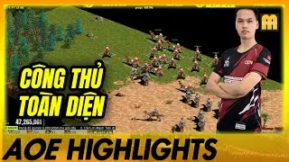 Kh&ocirc;ng c&oacute; điểm yếu! Chim Sẻ c&ocirc;ng thủ đều hay, khiến đối thủ tuyệt vọng to&agrave;n tập! | AoE Highlights