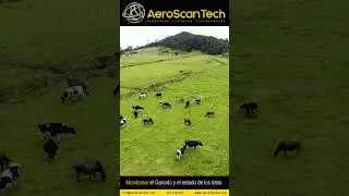 Trabajos de Ganader&iacute;a con Drones