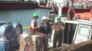 So Cal Ship Services